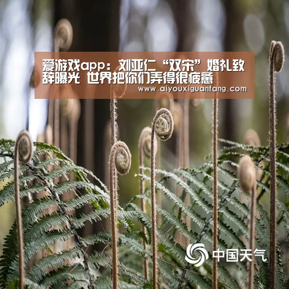 爱游戏app:刘亚仁“双宋”婚礼致辞曝光 世界把你们弄得很疲惫(图1) 爱游戏app