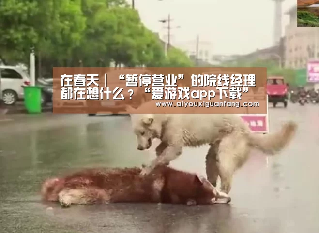 爱游戏app